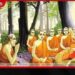 ශාසනික වශයෙන් වැදගත් සිදුවීම් රැසක් සනිටුහන් වන උතුම් වප් පුර පසළොස්වක පොහොය අදයි!