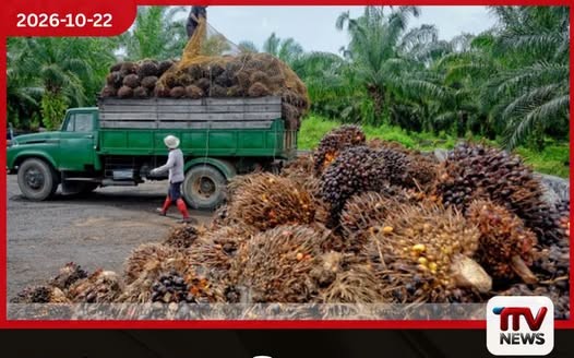 2021දී පැනවූ පාම් තෙල් ආනයන සීමා ඉවත් කිරීමට සූදානමක් ඇතැයි චෝදනා