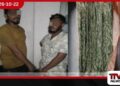 ඌව කුඩාඔයෙන් රුපියල් ලක්ෂ 2ක ගංජා තොගයක් සමඟ සැකකරුවන් දෙදෙනෙක් අත්අඩංගුවට