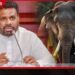 කාවන්තිස්ස ඇතාගේ මරණය සෙවීමට සහ ඇතුන් සුරැකීමට ජනපතිගෙන් විශේෂඥ කමිටුවක්