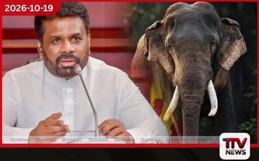 කාවන්තිස්ස ඇතාගේ මරණය සෙවීමට සහ ඇතුන් සුරැකීමට ජනපතිගෙන් විශේෂඥ කමිටුවක්