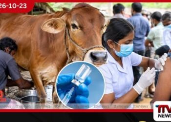 ජලභීතිකාව හැදිලා තිබ්බ හරකෙකුගේ කිරි බීපු ඉන්දියානුවෝ 450 කට ජලභීතිකා එන්නත් දීලා