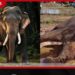 කාවන්තිස්ස ඇත් රජුගේ සත්දින දානමය පින්කම අද