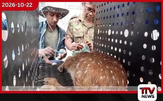 අත්තිඩිය වනජීවී මධ්යස්ථානයේදී සුවය ලැබූ වන සතුන් 50කට ආසන්න පිරිසක් යළි නිදහස් කරයි