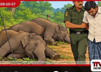රඹෑවදී අනවසර විදුලි රැහැනකට බිලි වූ වනඅලි දෙදෙනාගේ මරණයට ඉඩම් හිමියා අත්අඩංගුවට!