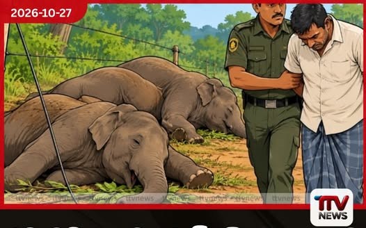රඹෑවදී අනවසර විදුලි රැහැනකට බිලි වූ වනඅලි දෙදෙනාගේ මරණයට ඉඩම් හිමියා අත්අඩංගුවට!
