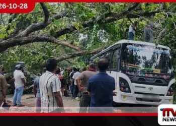 කුරුණෑගල රජ පිහිල්ලේ දැවැන්ත මාර ගසක් වාහන 7ක් මතට කඩා වැටෙයි