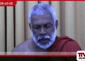 දිවුලපතාන ගොවිබිම්වලට  ගවයින්ගෙන් සිදුවන හානි ගැන  රජයේ අවධානය ඉල්ලයි