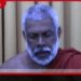 දිවුලපතාන ගොවිබිම්වලට ගවයින්ගෙන් සිදුවන හානි ගැන රජයේ අවධානය ඉල්ලයි