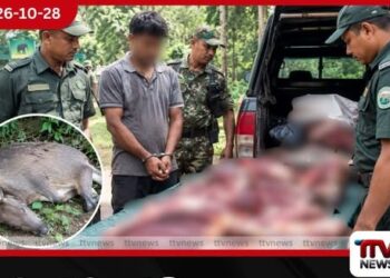 මාදුරුඔය ජාතික උද්‍යානය අසල මුව මස් සමඟ අත්අඩංගුවට ගත් සැකකරුගේ වනසත්ත්ව මස් ජාවාරමක් හෙළිවෙයි