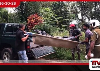 නාවලපිටිය තේ වත්තක ළිඳකින් අභිරහස් ලෙස මියගිය කඳුකර කොටියෙකුගේ සිරුරක් හමුවෙයි
