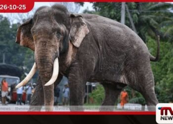 මුදල් දීලා කටඋත්තර ගන්න හැදුවා..