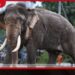 මුදල් දීලා කටඋත්තර ගන්න හැදුවා..