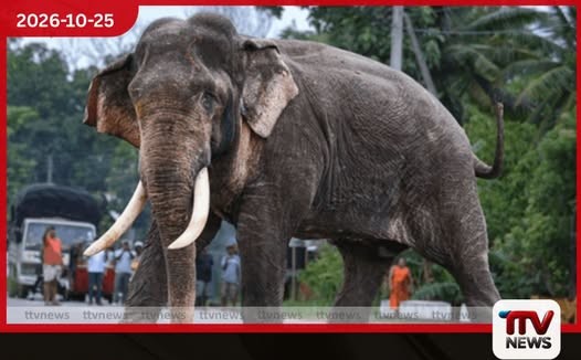 මුදල් දීලා කටඋත්තර ගන්න හැදුවා..