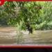ජල මට්ටම් සාමාන්‍ය තත්ත්වයට ගංගා ද්‍රෝණි තුනක අනතුරු ඇඟවීම් ඉවතට