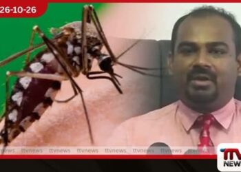 මහ වැසි සමඟ ඩෙංගු අවදානම ශීඝ්රයෙන් ඉහළට!