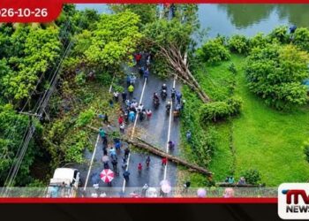 පානදුර–රත්නපුර මාර්ගයට  ගසක් කඩා වැටෙයි