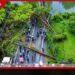 පානදුර–රත්නපුර මාර්ගයට  ගසක් කඩා වැටෙයි
