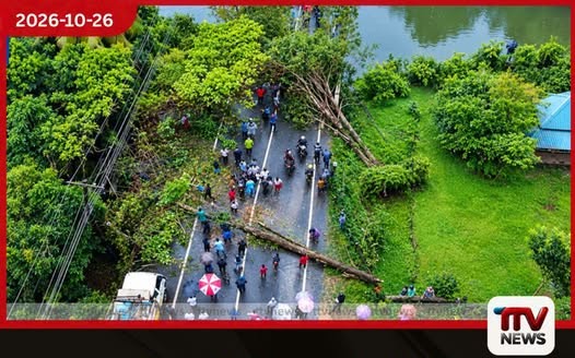 පානදුර–රත්නපුර මාර්ගයට ගසක් කඩා වැටෙයි