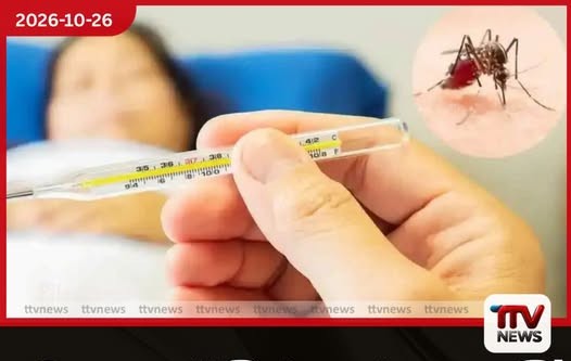 ඩෙංගු රෝගීන් ලක්ෂය පනී!