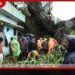 ඔර්නබ් සුළි කුණාටුව ඉන්දියාවේ ජීවිත පහක් අරගෙනම ගිහින්!
