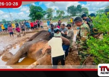 කාවන්තිස්සට වෙඩි තැබූ සැකකරුවන් යළි රිමාන්ඩ් අසරණ ඇතාට තවමත් යුක්තිය නැහැ