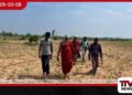 දිවුලපතාන ගොවිබිම්වලට ගවයින්ගෙන් සිදුවන වගා හානි බැලීමට රාහුලාලංකාර නාහිමියෝ පැමිණෙයි